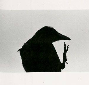 Lot 3787, Auction  104, Fukase, Masahisa, Ravens