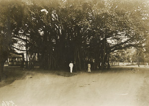 Los 4136 - China / SMS Leipzig - Souvenir album of a marine aboard the gunboat S.M.S. Leipzig - 2 - thumb