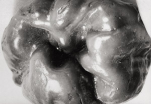 Los 4348 - Thiemann, Elsa - Detail of a pepper - 0 - thumb