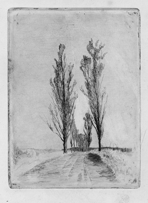 Los 5405 - Ilsted, Peter - Pappelallee - 0 - thumb