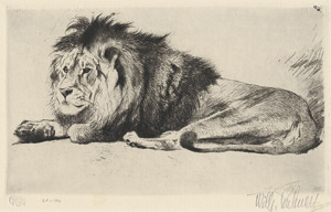 Lot 5416, Auction  112, Kuhnert, Wilhelm, Liegender Löwe