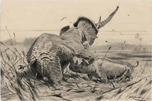Los 6621 - Kuhnert, Wilhelm - Kampf der Giganten: Elefant und Nashorn kämpfend. - 0 - thumb