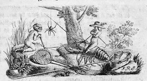 Lot 293, Auction  113, Sulzer, Johann Heinrich, Die Kennzeichen der Insekten