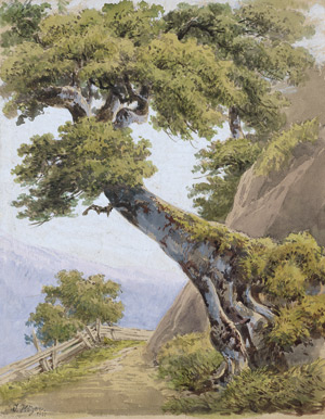 Lot 6784, Auction  113, Höger, Joseph, Wanderweg in den Tiroler Alpen