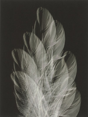 Lot 4296, Auction  114, Nagel, Gabriele, "Ephemeriden II - kinetics - f#01, 02, 04"