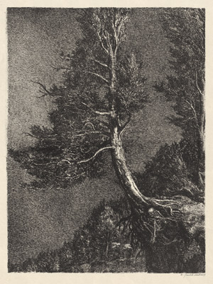 Lot 7044, Auction  114, Weber, A. Paul, Nager Tod