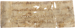Los 1001 - Martyrologium hieronymianum - Fragment eines Blattes einer lateinischen Handschrift auf Pergament - 0 - thumb