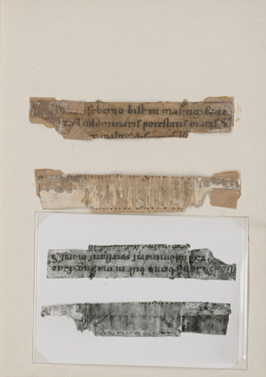 Los 1002 - Notker Labeo - Psalm 88, 10. Winziges Fragmentstück einer lateinischen Handschrift auf Pergament. Deutschland 11. Jahrhundert - 0 - thumb