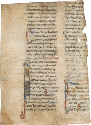 Los 1003 - Beneventana - Fragment eines süditalienischen Chrogebet-Brevier - 0 - thumb