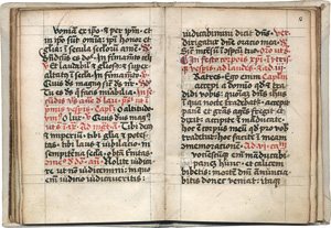 Los 1012 - Breviarium latinum - Fragment eines spätmittelalterlichen Gebetsbuchs. Eger 1. Hälfte des 15. Jahrhunderts - 0 - thumb