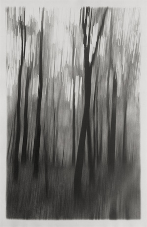 Los 4117 - Dvorak, Tomas - Abstract trees - 0 - thumb