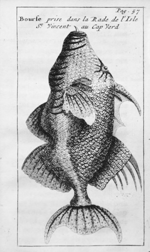 Lot 8, Auction  126, Froger, François, Relation d'un voyage de la Mer du Sud