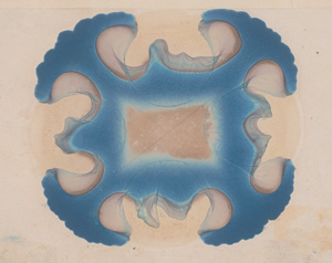 Los 352 - Runge, Friedrich Ferdinand - Der Bildungstrieb der Stoffe - 1 - thumb