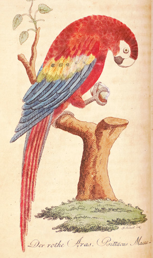 Lot 361, Auction  126, Bechstein, Johann Matthäus, Naturgeschichte der Stubenthiere. Vögel