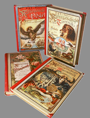 Lot 384, Auction  126, Schubert, G. H., Naturgeschichte des Tier-, Pflanzen- und Mineralreichs. 4 Bände der Reihe