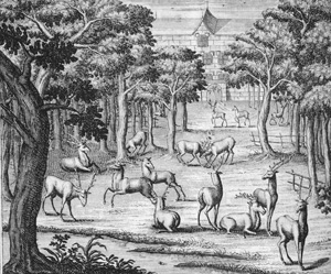 Lot 391, Auction  126, Florinus, Franz Philipp, Oeconomus prudens et legalis continuatus