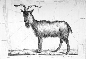 Lot 397, Auction  126, Liger, Louis, La nouvelle maison rustique