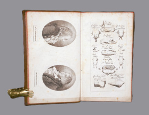 Lot 420, Auction  126, Collingwood, Francis und Woollams, John, Neues Londner Kochbuch