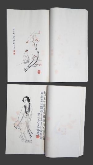 Los 666 - Qi Baishi - Rong Bao zhai xin ji shi jian pu. 2 chinesische Blockbücher  - 7 - thumb