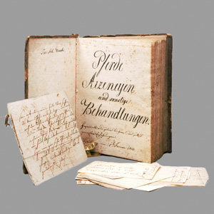 Lot 1045, Auction  126, Krooth, Joseph Anton, Pferde Arzeneyen und sonstige Behandlungen