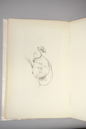 Los 3401 - Sartre, Jean-Paul und Wols - Illustr. - Visages précédé de portraits officiels - 1 - thumb