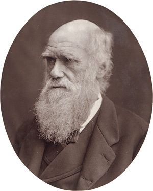 Lot 4069, Auction  126, Men of Mark, Heinrich Schliemann, Charles Darwin and Jules Verne