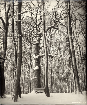 Lot 4157, Auction  126, Hoepffner, Marta, Winter scene