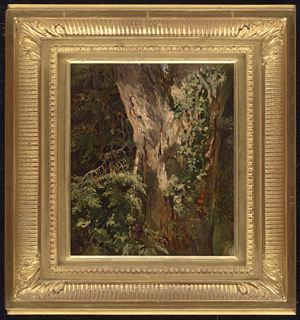 Los 6212 - Französisch - um 1860. Studie einer bewachsenen Eiche - 1 - thumb