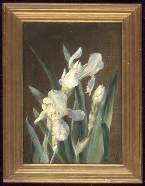 Los 6220 - Dänisch - 1901. Studie mit weißen Iris - 1 - thumb