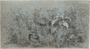 Lot 6533, Auction  126, Niederländisch, 17. Jh. Wiesenstück mit Gräsern und Blattgewächsen