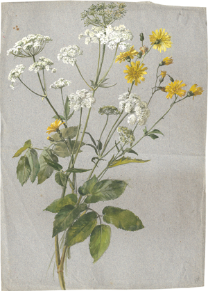 Lot 6681, Auction  126, Deutsch, um 1840. Wiesenblumenstrauß mit Schafgarbe und kleinem Habichtskraut