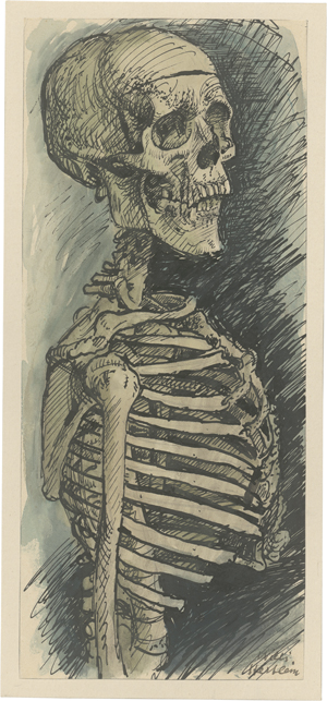 Lot 8126, Auction  126, Hertlein, Willi, Skelett