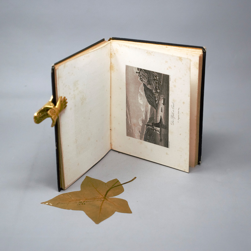 Lot 191, Auction 126, Rhin pittoresque, Le, Le Rhin pittoresque