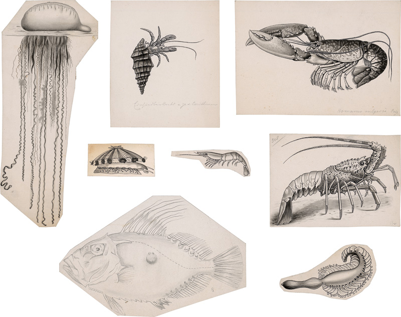 Lot 364, Auction 126, Cori, Carl Isidor, Zeichnerischer Teilnachlass