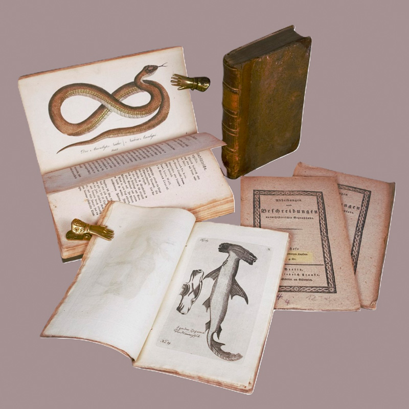 Lot 367, Auction 126, Erxleben, Johann Christian Polycarp, Anfangsgründe der Naturgeschichte (+ 2 Beigaben)