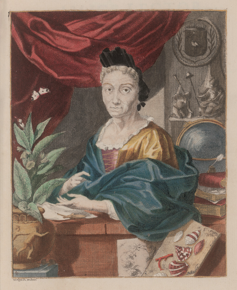 Lot 374, Auction 126, Merian, Maria Sibylla, Erucarum ortus