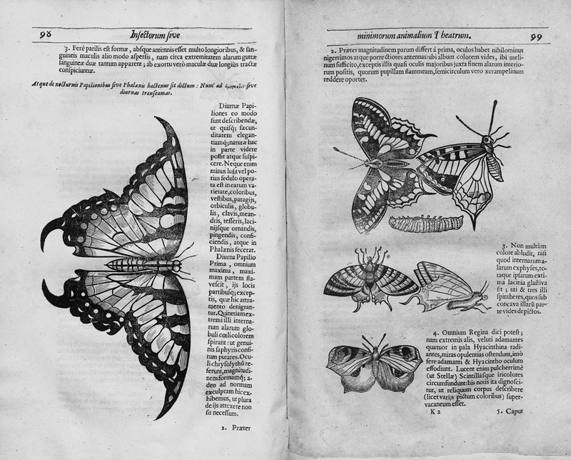Lot 376, Auction 126, Moffet, Thomas, Insectorum sive Minimorum Animalium Theatrum