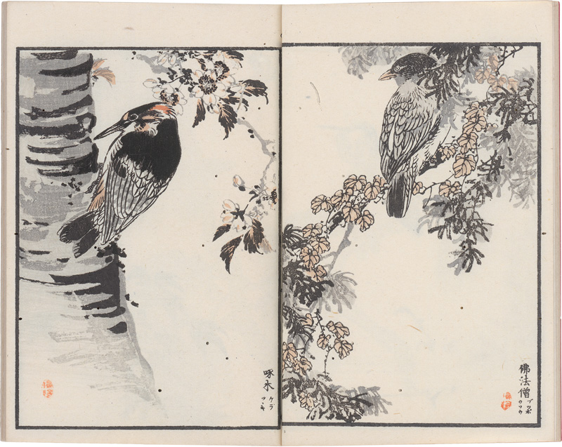 Lot 601, Auction  126, Bairei, Kôno, Hykuchô gafu zokuhen (japonice: Album der 100 Vögel und Blumen)
