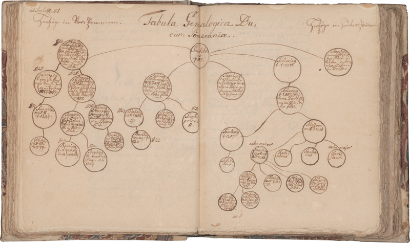 Lot 1037, Auction 126, Struve, Burkhard Gotthelf, Historia Pomeraniae praelecta a Burcardo Gotthelffio Stuvio