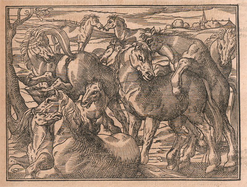 Lot 1145, Auction 126, Estienne, Charles und Liébault, Jean, XV Bücher von dem Feldbau