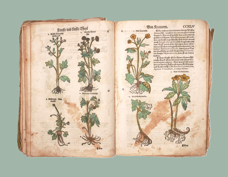 Lot 1147, Auction 126, Lonitzer, Adam, Kreuterbuch