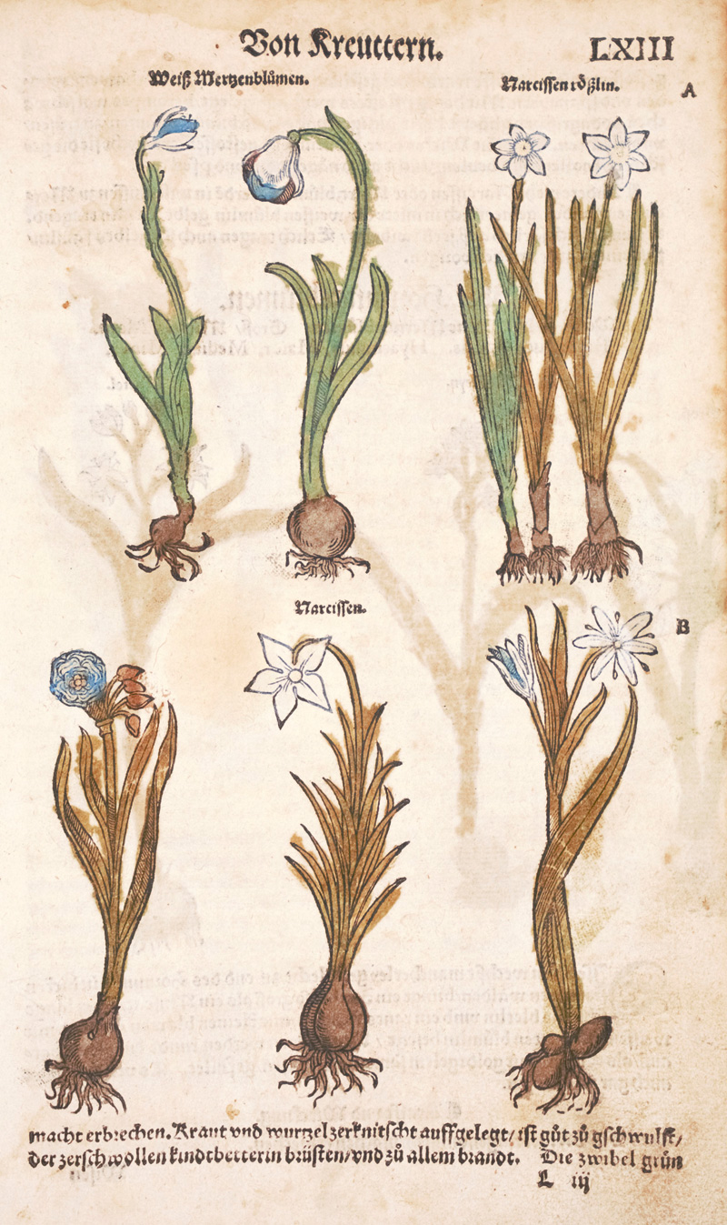 Lot 1184, Auction 126, Rößlin, Eucharius, Kreuterbuch, von natürlichem Nutz, und gründtlichem Gebrauch der Kreutter