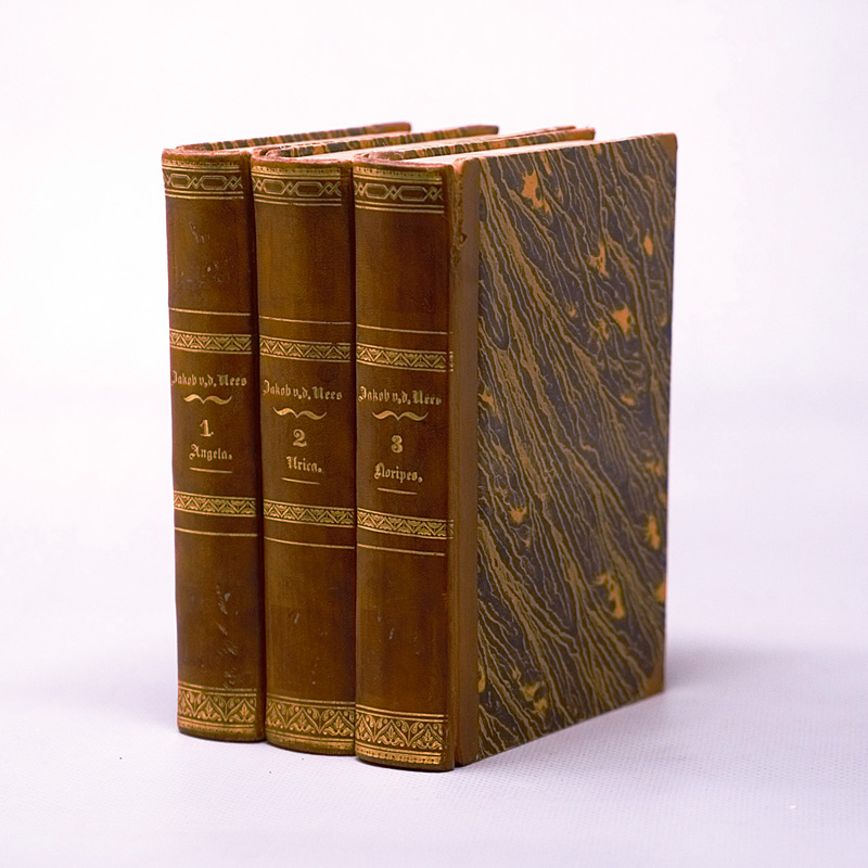 Lot 2085, Auction 126, Paalzow, Henriette, Jakob van der Nees