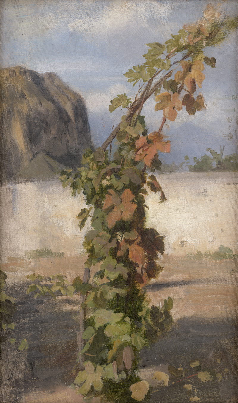 Lot 6088, Auction  126, Schick, Rudolf, Weinstock am Monte Brione am Nordufer des Gardasees