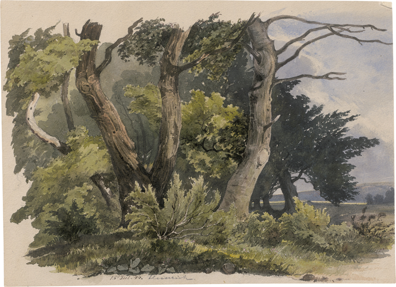 Lot 6692, Auction 126, Deutsch, 18444. Kleines Waldstück