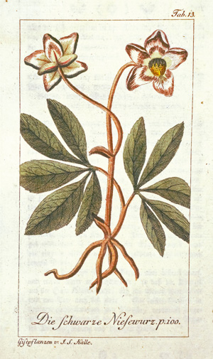 Lot 352, Auction  127, Halle, Johann Samuel, Die deutsche Giftpflanzen. Band I. Wien, Trattner, 1785