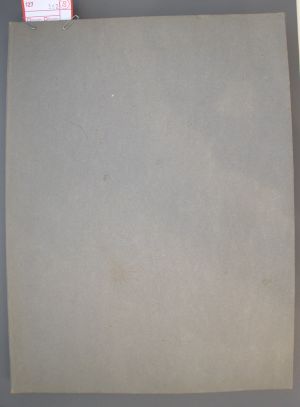 Los 362 - Spätbiedermeierliche Sammlung von ca. 135  aquarellierten Naturselbstdrucken - von verschiedenen Schmetterlingen und Motten - 17 - thumb