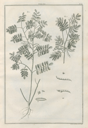 Lot 381, Auction  127, Beauvais-Raseau, Paul de, L'art de l'indigotier