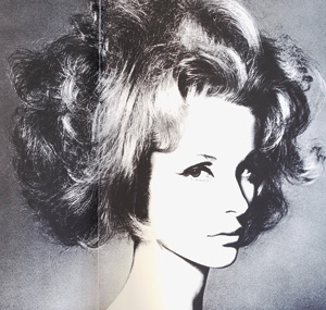 Lot 3395, Auction  127, Capote, Truman und Avedon, Richard - Illustr., Observations