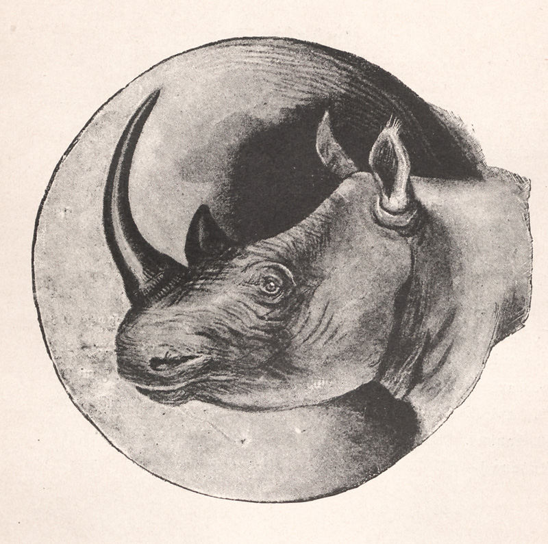 Lot 51, Auction 127, Jameson, James Sligo, Forschungen und Erlebnisse im ''Dunkelsten Afrika''. Geschichte der Nachhut